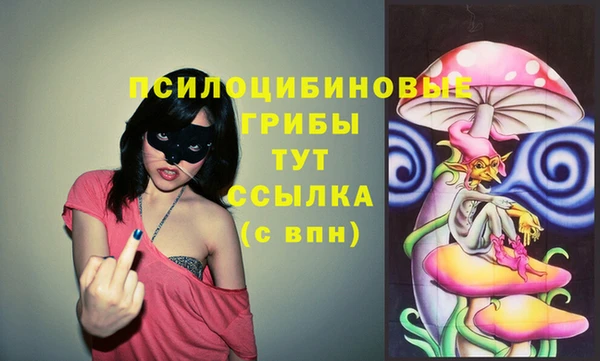 герыч Новокубанск