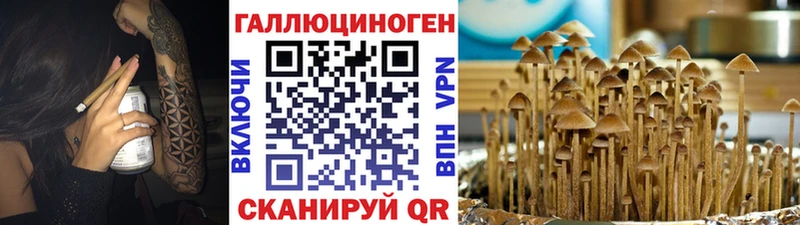 Галлюциногенные грибы GOLDEN TEACHER Чкаловск