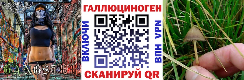 Галлюциногенные грибы мухоморы Чкаловск
